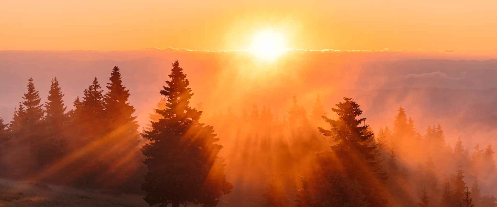 Hur viktigt är D-vitamin?