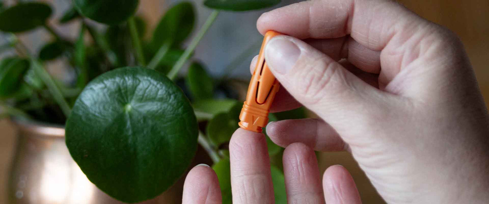 Järnbristtest - Lansett